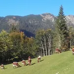 Haus Binderschuster Bed & Breakfast