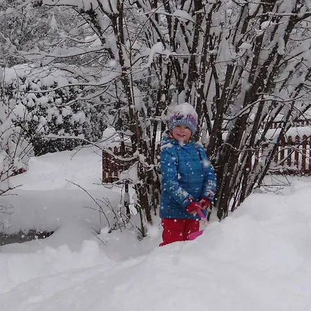 فندق مبيت وإفطار Haus Binderschuster