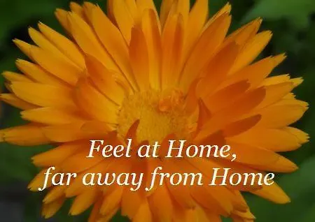 Haus Binderschuster أونكن