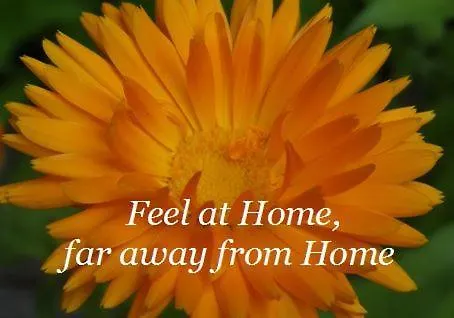 Haus Binderschuster Unken