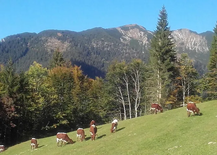 Haus Binderschuster Alojamento de Acomodação e Pequeno-almoço